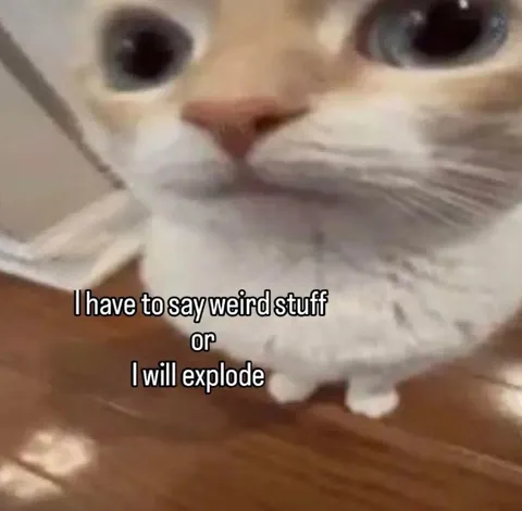 I Will Explode Cat