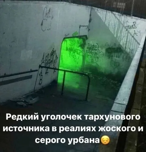 Тархуновый источник в урбане