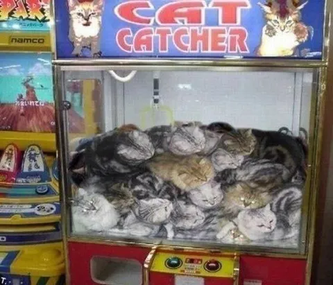 Cat-Filled Claw Machine