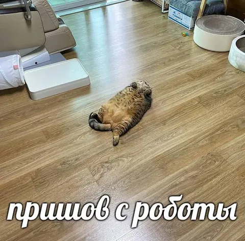 Пришлов с работы