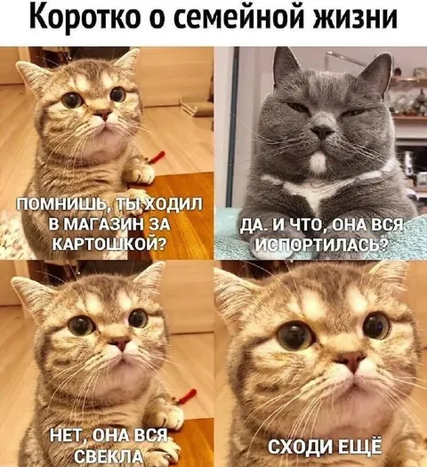 Коротко о семейной жизни