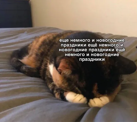 Еще немного и новогодние праздники