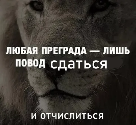 Любая преграда — повод сдаться