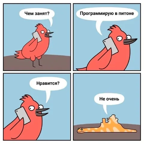 Программирую в Питоне