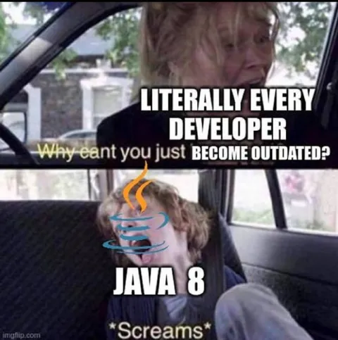 Java 8 Developer Screams
