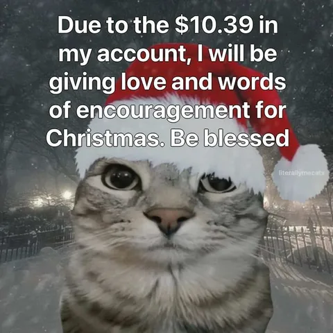 Ten Dollar Christmas Cat