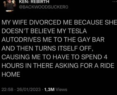 Tesla Drives Me to the Gay Bar