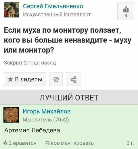 Муха или монитор
