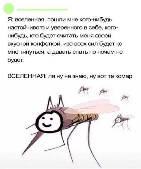 Вселенная послала комара