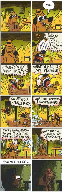 Dog Watches Everything Burn