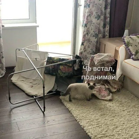 Че встал, поднимай