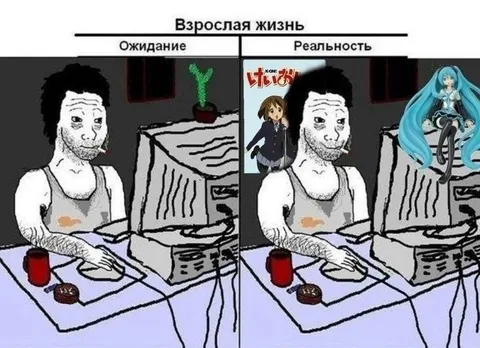 Ожидание и реальность взрослой жизни