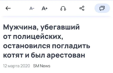 Убежавший от полиции погладил котят