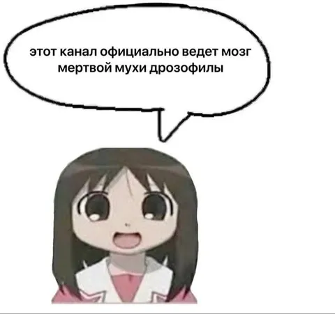 Официальный мозг мёртвой мухи