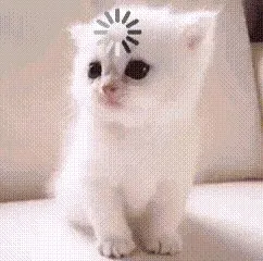 Котёнок завис