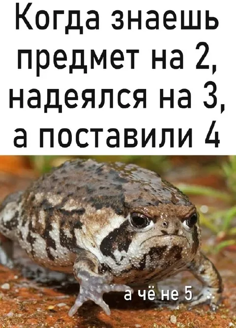 Когда поставили четвёрку