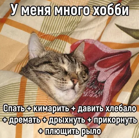 У меня много хобби