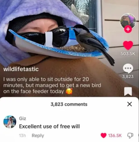 Excellent Use of Free Will