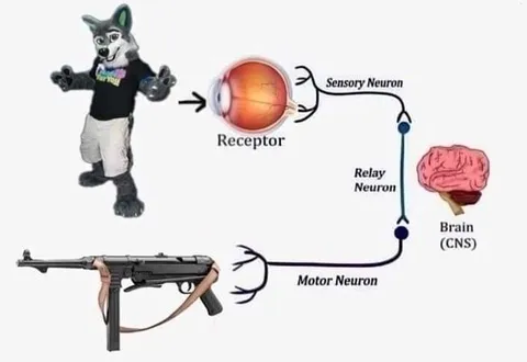 Mascot Controls the Gun