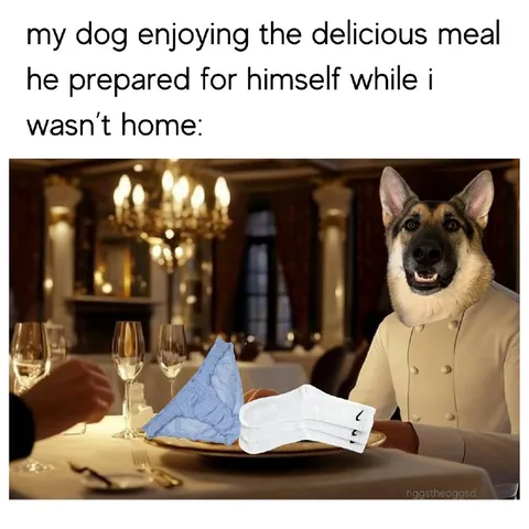 Dog Enjoying His Own Dinner