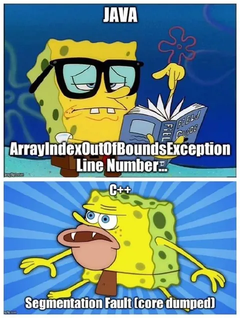 Java Exception, C++ Segmentation Fault