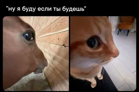 Ну я буду если ты будешь