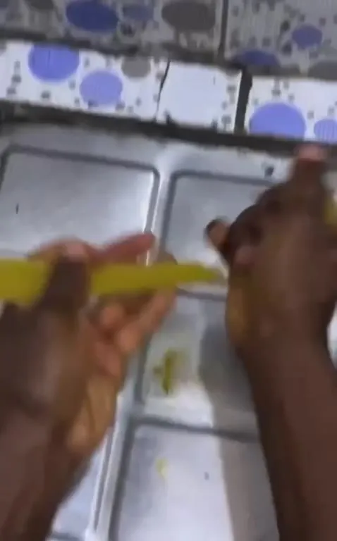Iron-Cooked Sardine Noodles