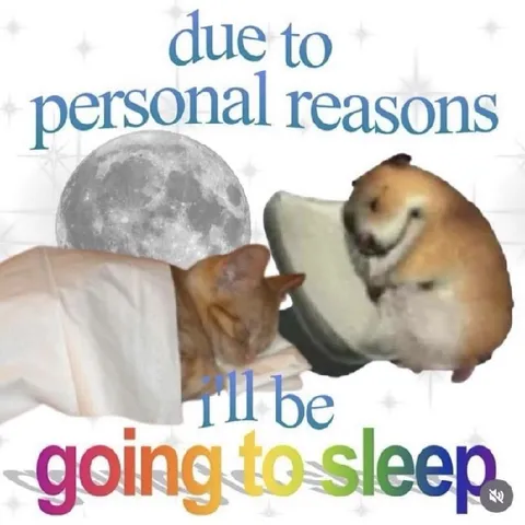 Due to Personal Reasons Sleep Meme