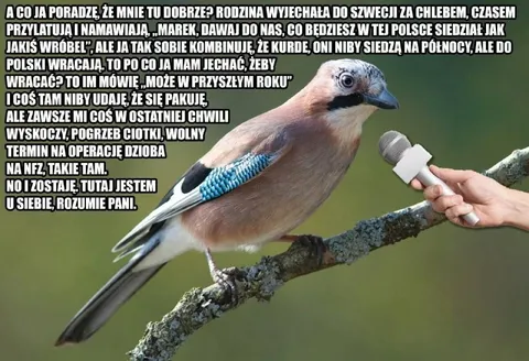 Marek zostaje w Polsce