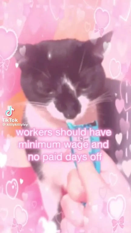 Cat Hates Unions, Loves Corporate Jobs