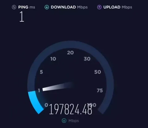 Internet Speed Test Goes Wild