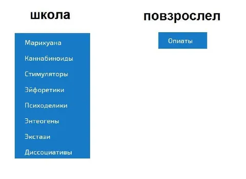 Школа и взрослая жизнь