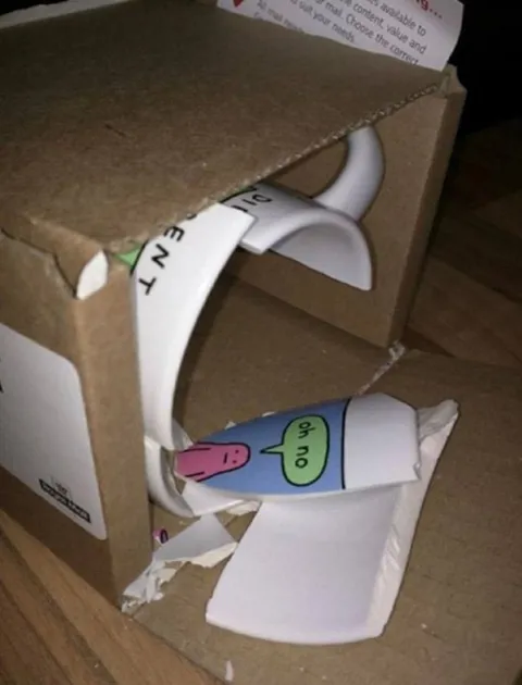 Package Delivery Disaster