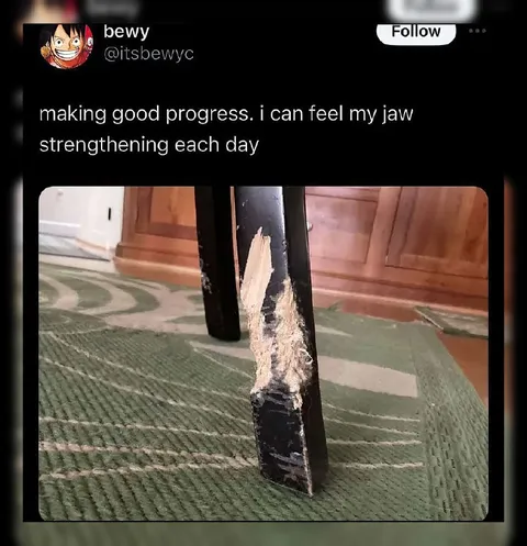 Jaw Strengthening Progress