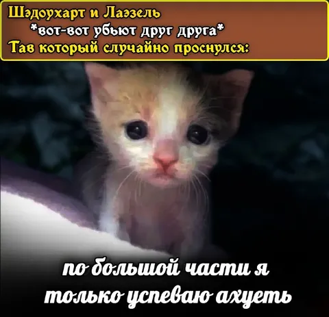 Тав случайно проснулся