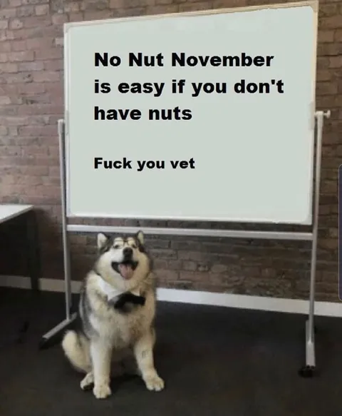 No Nut November Without Nuts