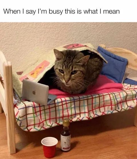 When I Say I'm Busy