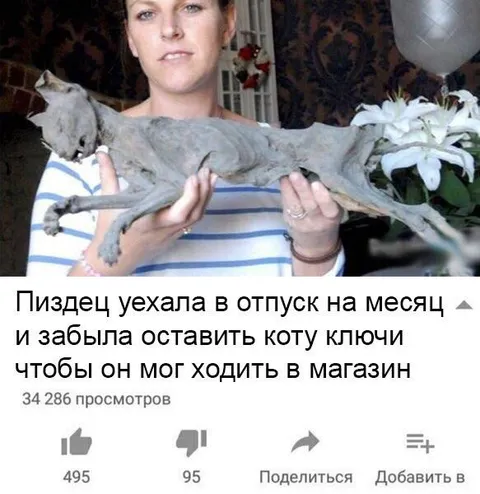 Кот пошёл в магазин