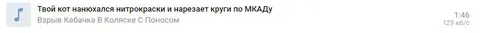 Кот нарезает круги по МКАДу