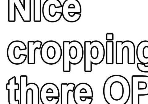 Nice Cropping There OP