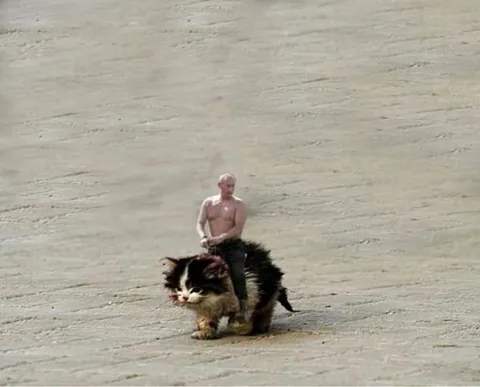 Путин верхом на гигантском коте