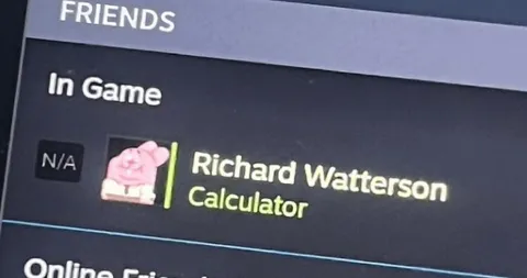 Richard Watterson Playing Calculator