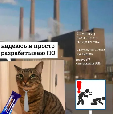 Надеюсь, я просто разрабатываю ПО
