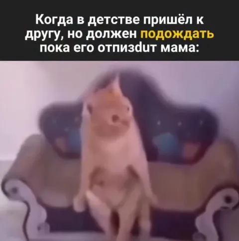 Ждать, пока друга отпиздит мама