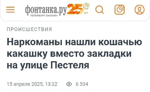 Кошачья какашка вместо закладки