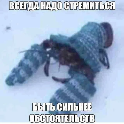 Всегда быть сильнее обстоятельств