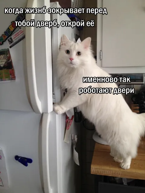 Когда жизнь закрывает дверь
