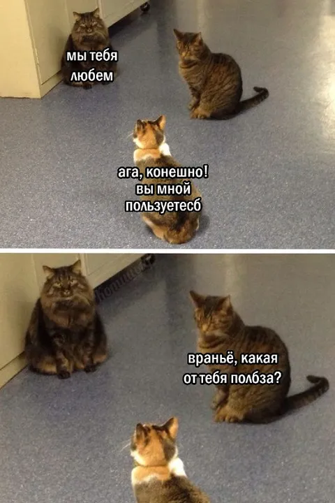 Мы тебя любим, ага конечно