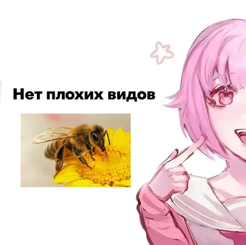 Нет плохих видов на пчелу
