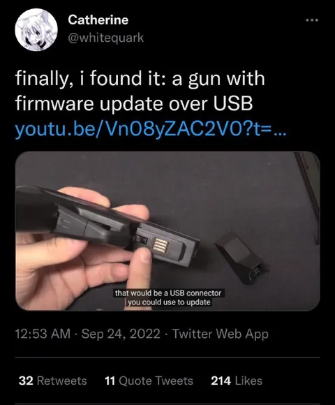 Gun With Firmware Update